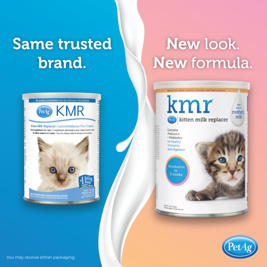 LocalID_71039 PetAg - KMR Powder Kitten Milk Replacer - 170G (6oz)