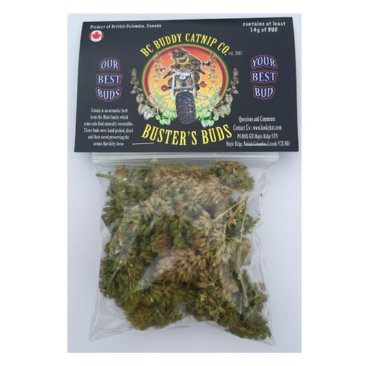 *S.O. - Up to 2 Week Wait* BC Buddy - Buster's Buds Whole Catnip Buds - 14GM (.5oz)