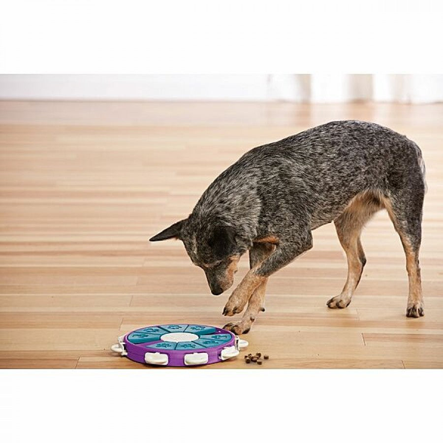 LocalID_70009 Nina Ottosson - Treat Game Twister Dog Puzzle Toy - 30.5CM (12in)