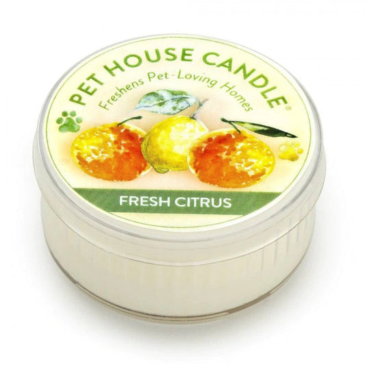 Pet House - Candles - Juicy Melon Candle - MINI - 1.5oz - 7x4CM (2.5x1.75in)