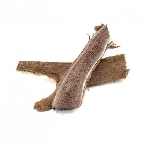 LocalID_64398 Furever Pure - Split ELK ANTLER (Velvet) Dog Chew - LARGE
