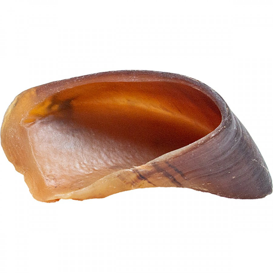 LocalID_68990 Silver Spur - ASADO Cow Hooves - 10-15CM (4-6in) - BULK - 24PK (Sold Individually)