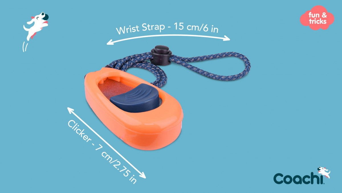 LocalID_70334 Company of Animals - Coachi - Multi-Clicker - NAVY & CORAL