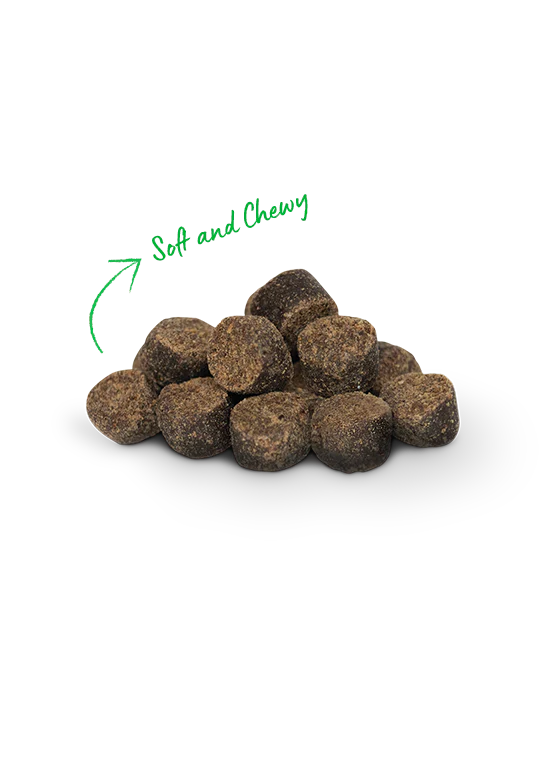 LocalID_68718 Open Farm - Be Good Bites BEEF Dog Treats - 170GM (6oz)