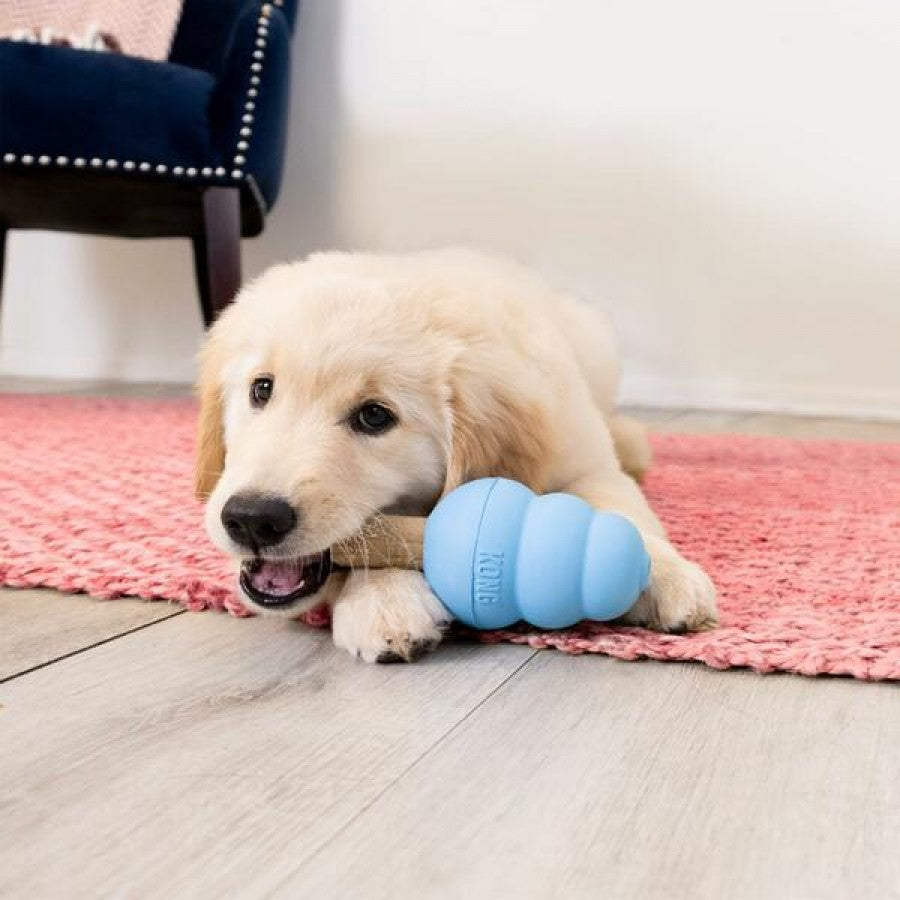 LocalID_70434 KONG - Ziggies Enhanced PUPPY Dog Treat - MEDIUM LARGE - 227GM (8oz)