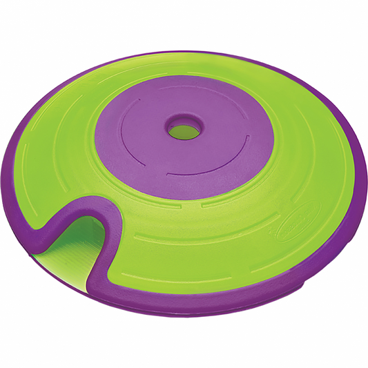 Nina Ottosson - Treat Maze Puzzle Dog Toy - GREEN and PURPLE