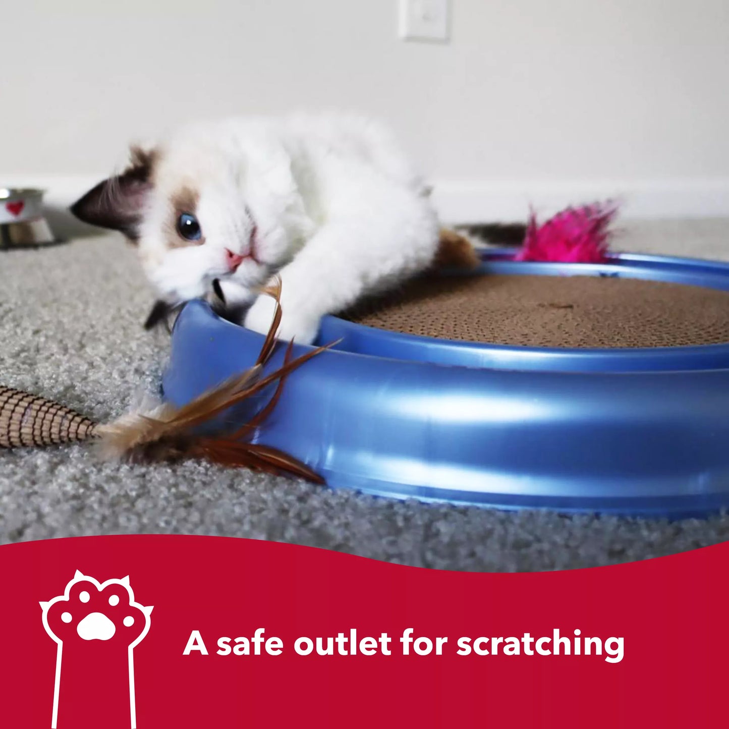 LocalID_69215 Coastal - Bergan Turbo Scratcher With Ball & Scratch Pad Center - 40.6CM (16in)