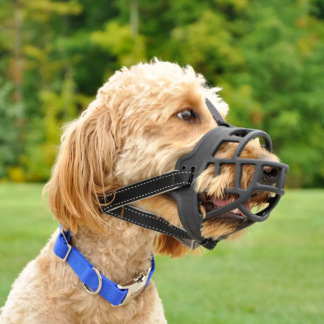 LocalID_70250 Coastal - Soft Basket Dog Muzzle - Black - Size 3