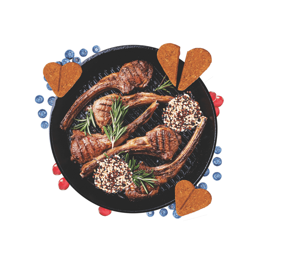 LocalID_68221 Darford - Zero/G ROASTED LAMB Recipe Minis Dog Treat - 170GM (6oz)