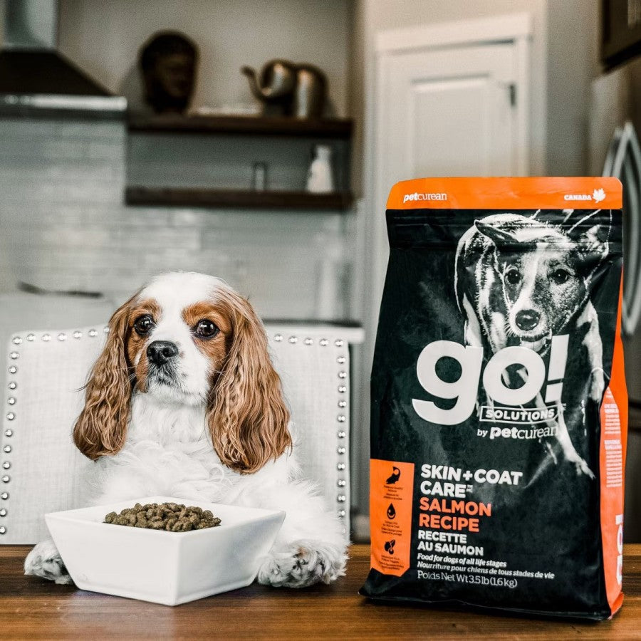 LocalID_67810 Petcurean - GO! Skin and Coat SALMON Dry Dog Food - 5.44KG (12lb)