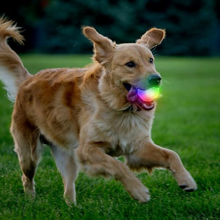 LocalID_70031 Nite Ize - GlowStreak Wild LED Ball Dog Toy - DISC-O - 8CM (3in)