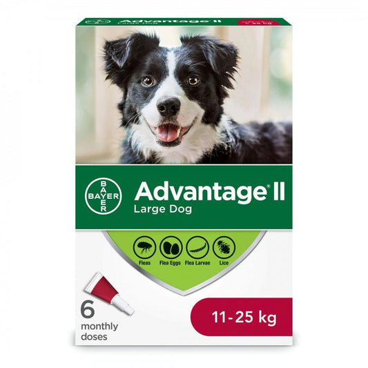 Bayer - K9 Advantage® II Large Dog Once-A-Month Topical Flea Treatment - 11 to 25KG - 6 Doses