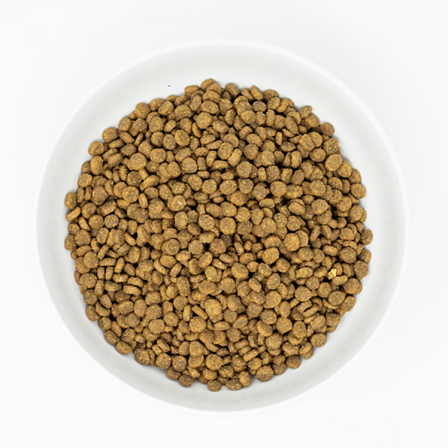 *S.O. - Up to 2 Week Wait* Stella and Chewys - Raw Coated Wild Caught SALMON Cat Food -  (2.5lb)