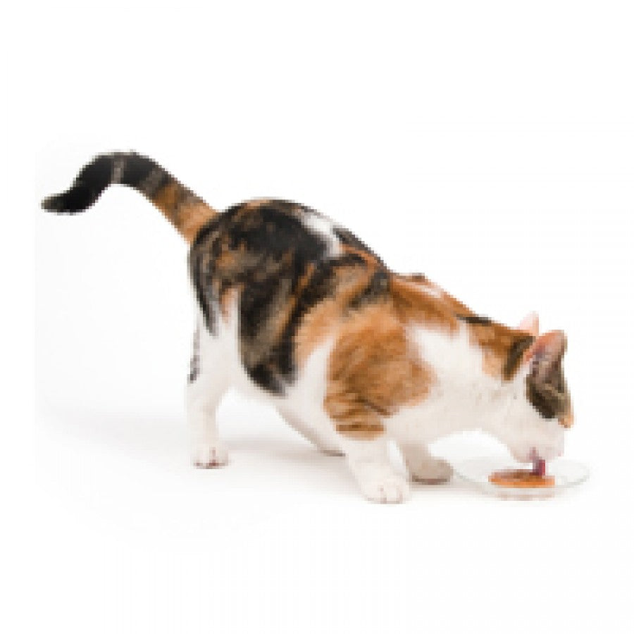 LocalID_65756 Catit - Creamy Lickable Cat Treat - Assorted Multipack - 15GM (0.5oz) - 12PK
