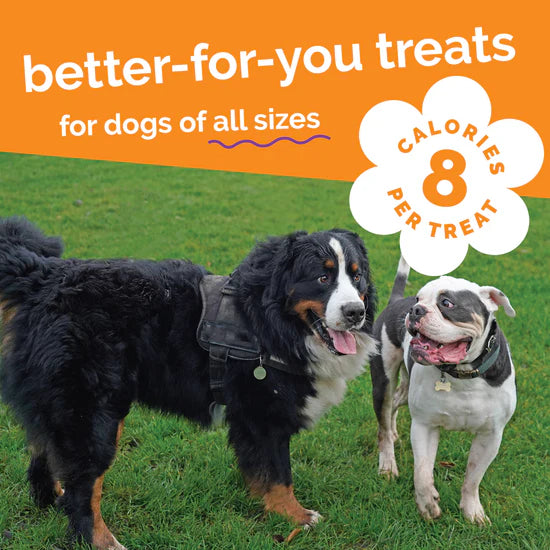 LocalID_71536 Fruitables - SWEET POTATO and PECAN Crunchy Dog Treats - 198GM (7oz)