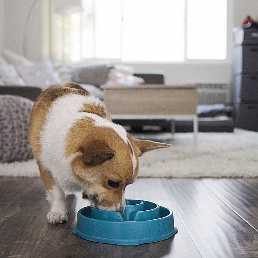 Outward Hound - Fun Feeder Drop - TEAL - MEDIUM - 21CM (8.3in)