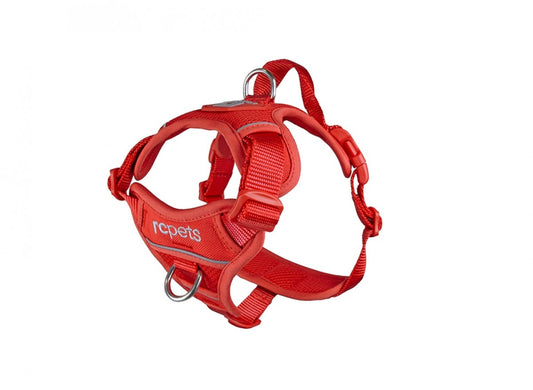 RC Pets - Momentum Control Harness - GOJI BERRY - LARGE