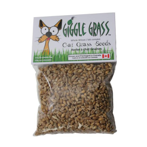 LocalID_624 Giggle Grass - Oat Cat Grass Seeds - 125GM