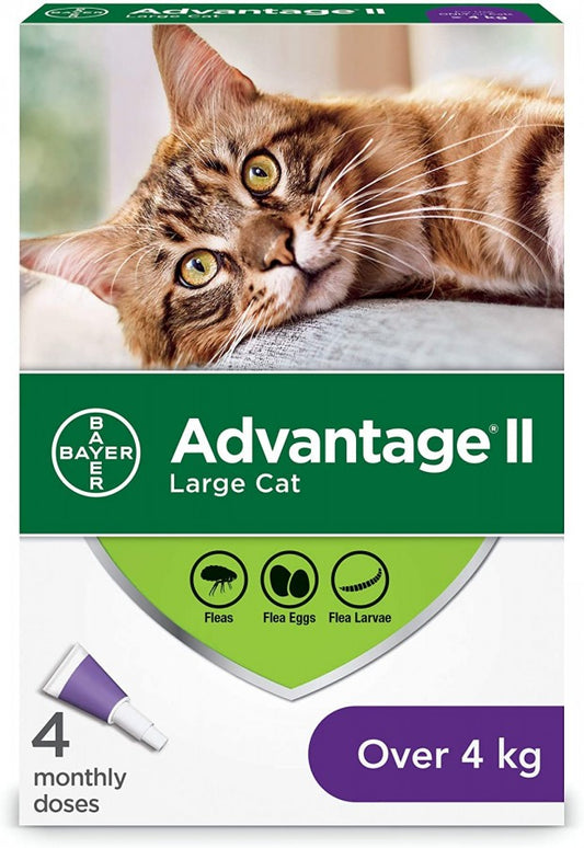 Bayer - Advantage® II Large Cat Once-A-Month Topical Flea Treatment - Over 4KG - 4 Doses