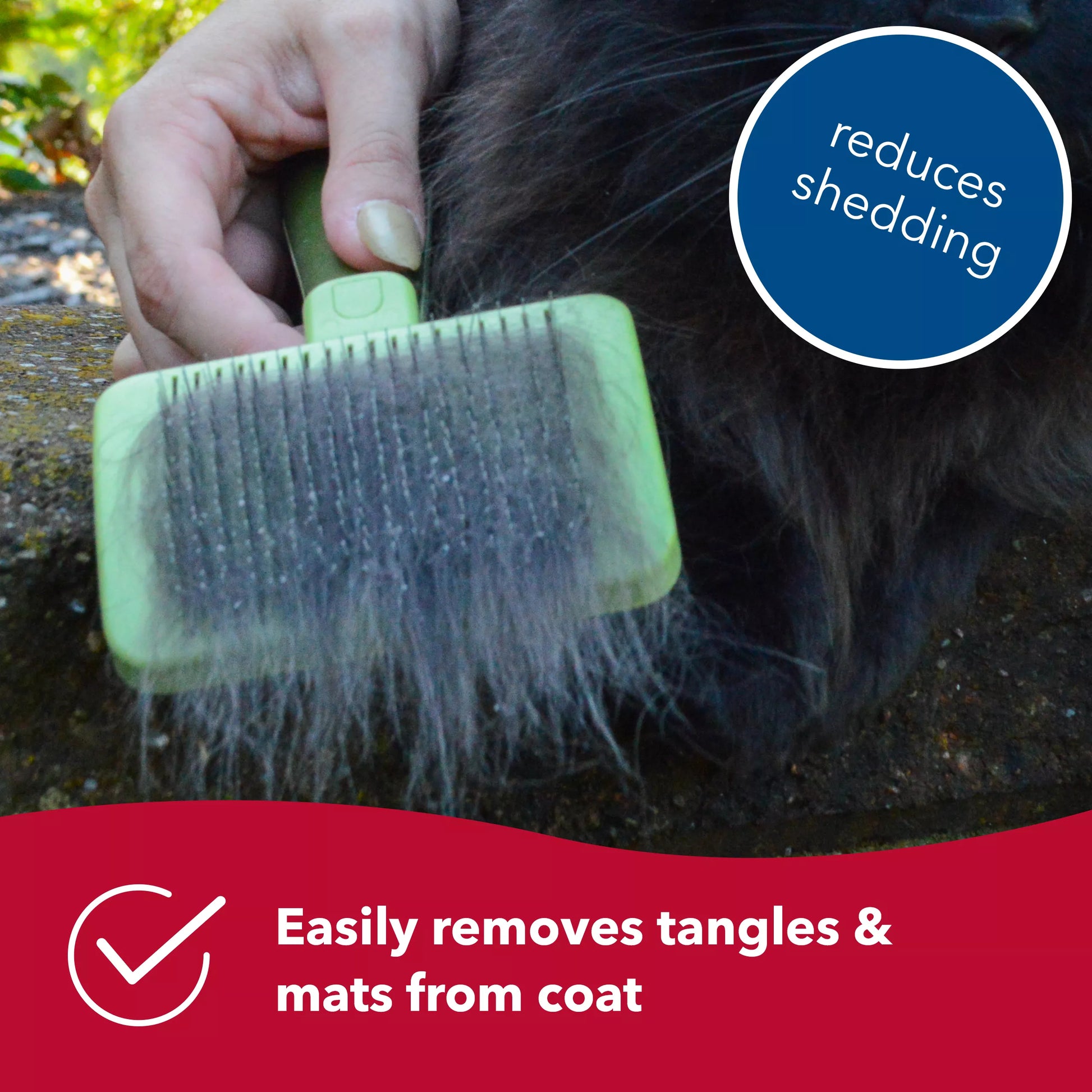 LocalID_70588 Coastal - Safari Self Cleaning Cat Slicker Brush - 9CM (3.5in) Wide