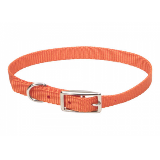 *DISC* Coastal - Standard Buckle Nylon Dog Collar - SUNSET ORANGE - .4 x 30CM - (3/8 - 12in)