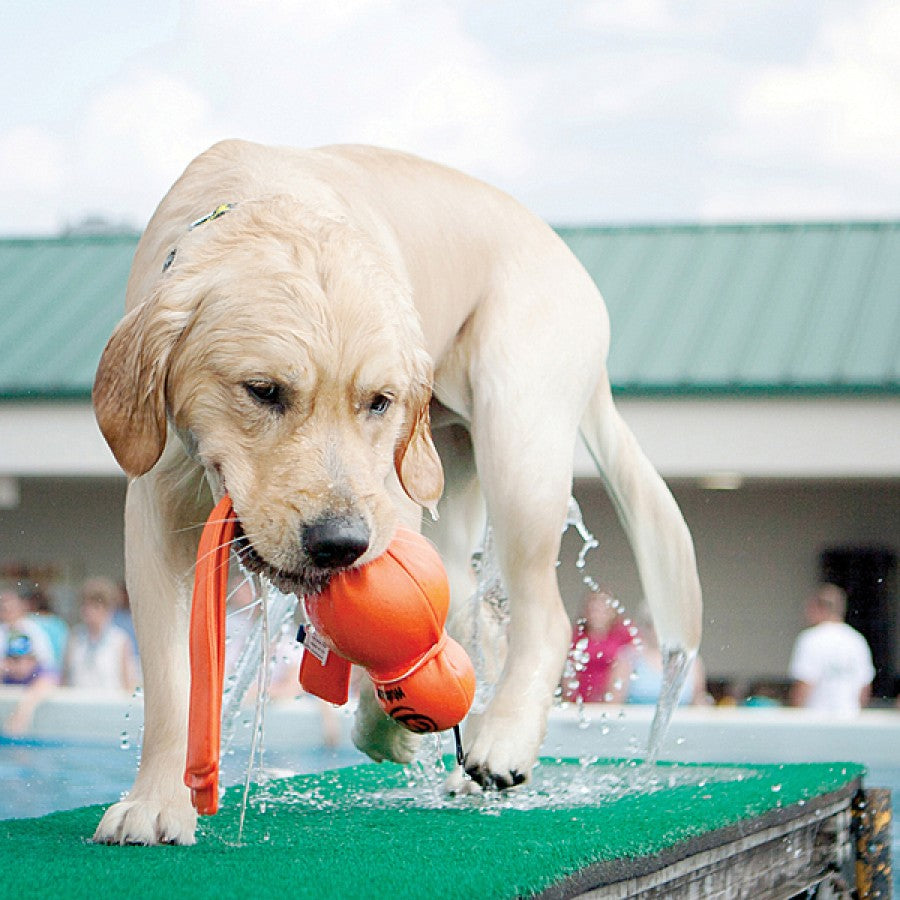 KONG - Wubba Water Dog Toy - XLARGE - 43CM (17in)