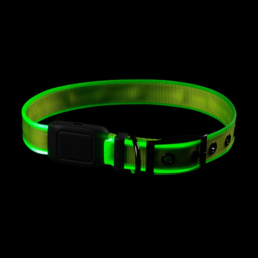 Nite Ize - NiteDog Rechargeable LED Collar - LIME - LARGE - 50.8-61CM (20-24in)