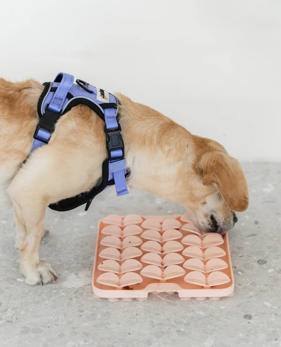 LocalID_66635 Dexypaws - Dog Snuffle Mat Silicone - BLUSH PINK