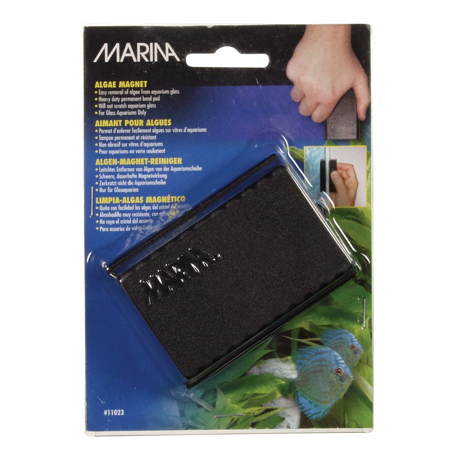 LocalID_70456 Marina - Algae Magnet - LARGE - 8.5CM (3.5in)