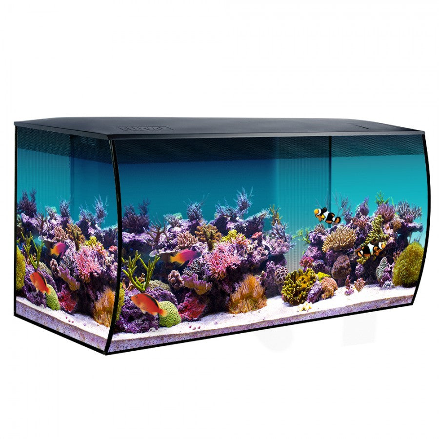 LocalID_73090