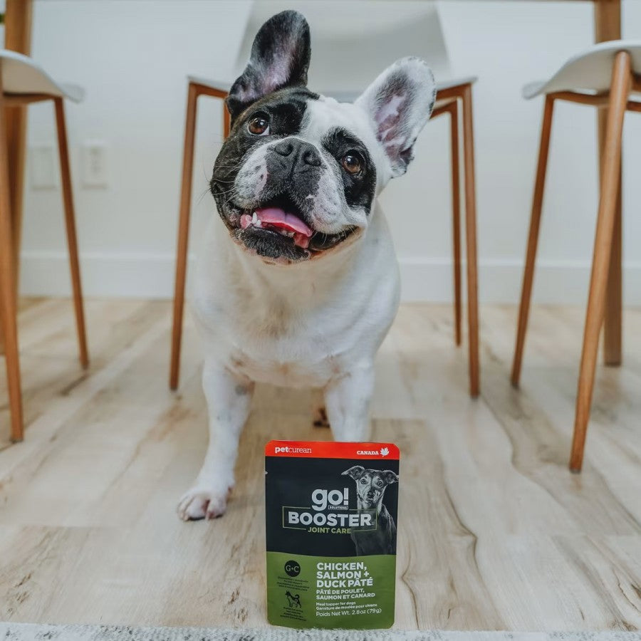 LocalID_67397 Petcurean - GO! Joint Care CHICKEN, SALMON and DUCK Pate Wet Dog Food - 79GM (2.8oz)