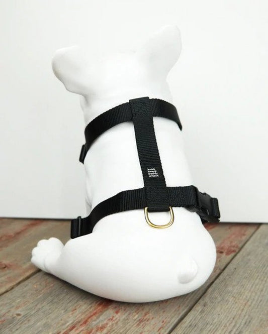 LocalID_51932 Knick Knack Paddy Whack. - Black Harness - Large 20-32in