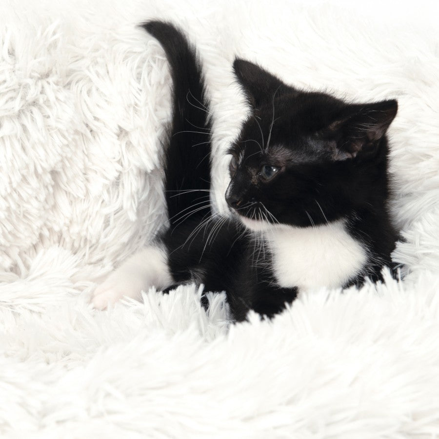 LocalID_64738 Catit - Fluffy Bed - WHITE - 60CM (20in)