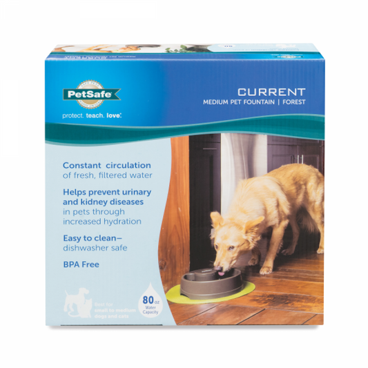 Petsafe - Current Fountain - FOREST - MEDIUM