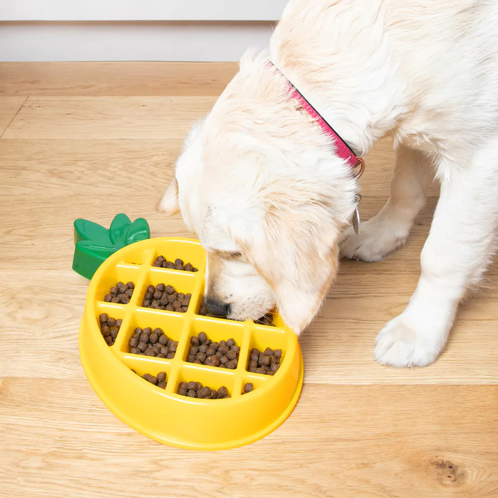 ZippyPaws - Happy Bowl Slow Feeder - PINEAPPLE - 37CM (14.5in)