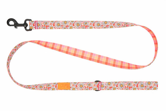 LocalID_70709 RC Pet - Eco Leash - DAISY JOY - 3/4in x 5ft