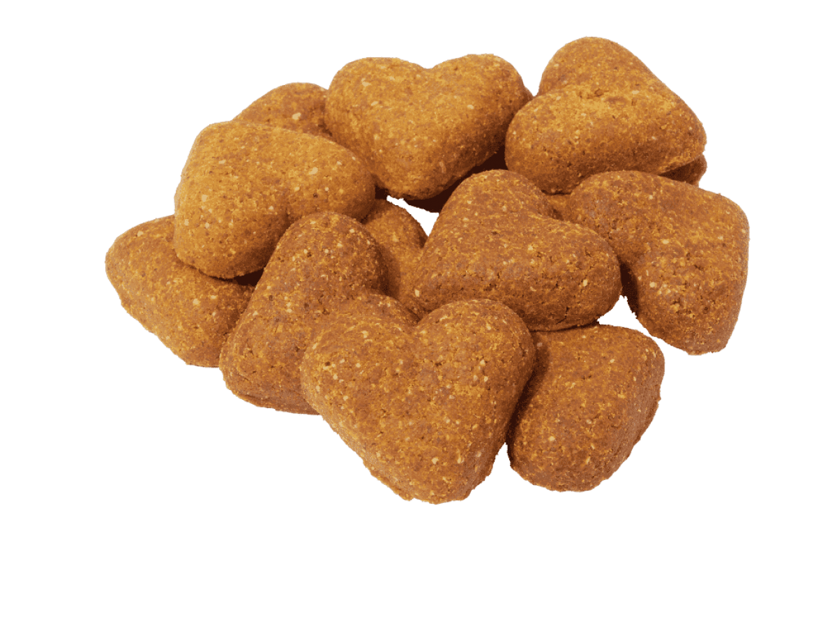 Darford - Grain Free PEANUT BUTTER Recipe Dog Treat - 340GM (12oz)