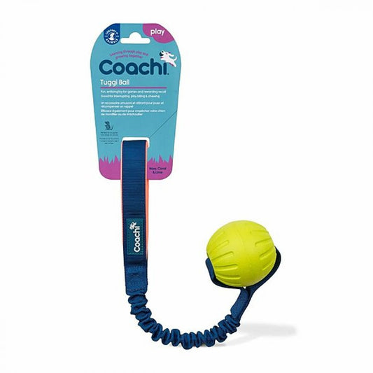 LocalID_71949 Company Of Animals - Coachi - Play Tuggi Ball