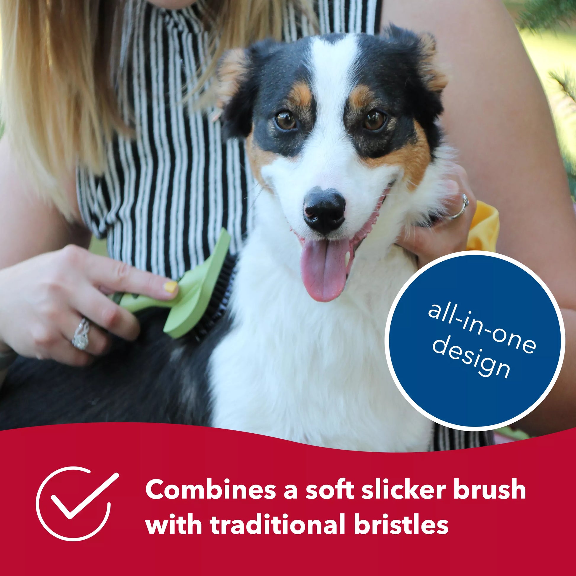 LocalID_71753 Coastal - Complete Dog Brush Longhair Breeds - 17.5CM (7in)