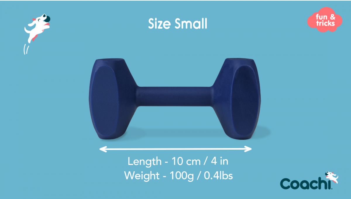 LocalID_70387 Company of Animals - Tricks Training Dumbbell - MEDIUM - 14.5CM (5.75in) Long