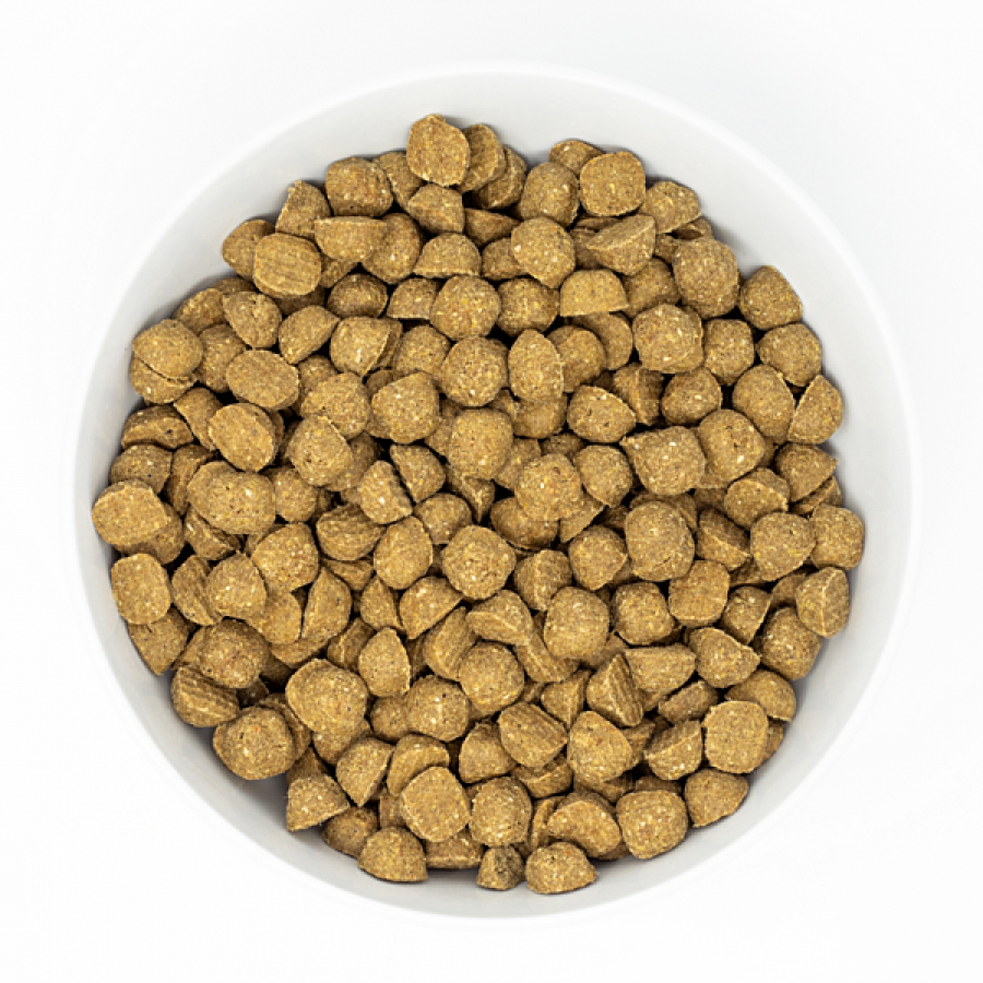 *S.O. - Up to 2 Week Wait* Stella & Chewy's - Raw Coated Wholesome Grains BEEF Dry Dog Food - 1.5KG (3.5lb)