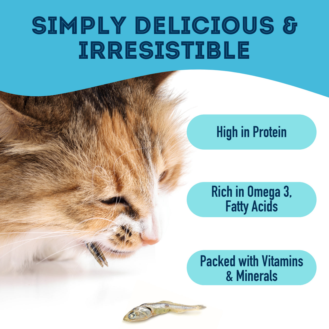 LocalID_68290 Granville Island Pet Treatery - Dried SARDINES - Large - 400GM (14.11oz)