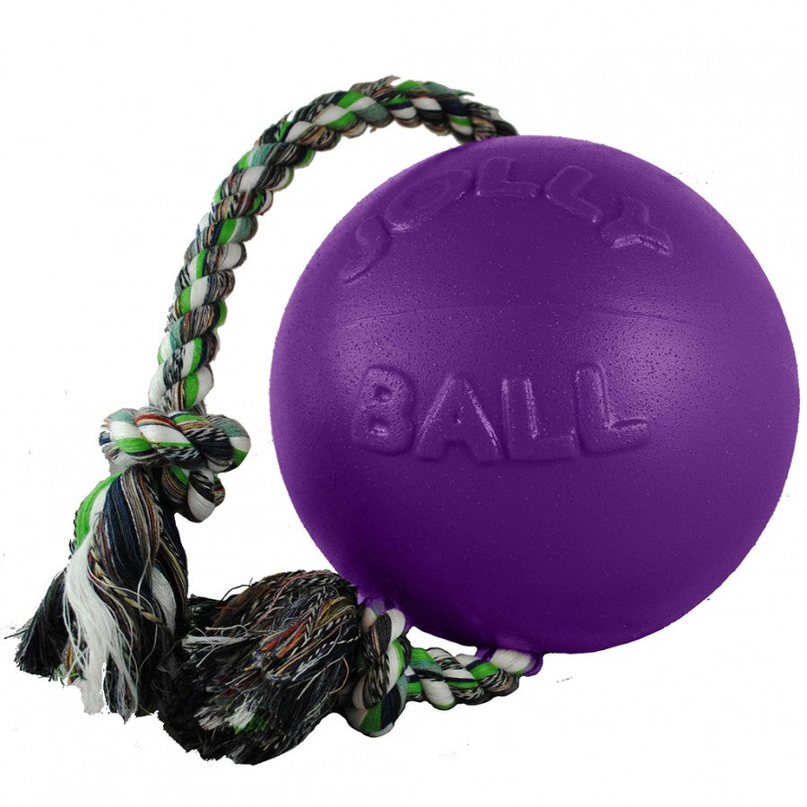 Jolly Pets - Romp N Roll Ball with Rope Dog Toy - PURPLE - 11.5CM (4.5in)