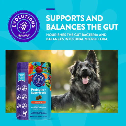 LocalID_70961 NaturVet - Probiotic + Superfoods Soft Chews - 396GM (13.9oz) - 180CT