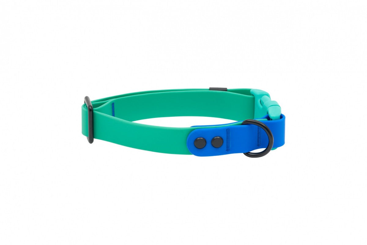 RC Pets - Waterproof Collar - PARAKEET SAPPHIRE - MEDIUM - 1 x 12-20in