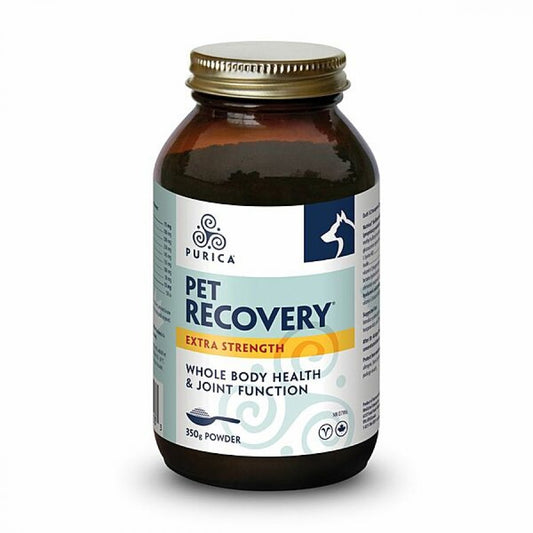 Purica - Recovery Extra Strength Powder - 350GM