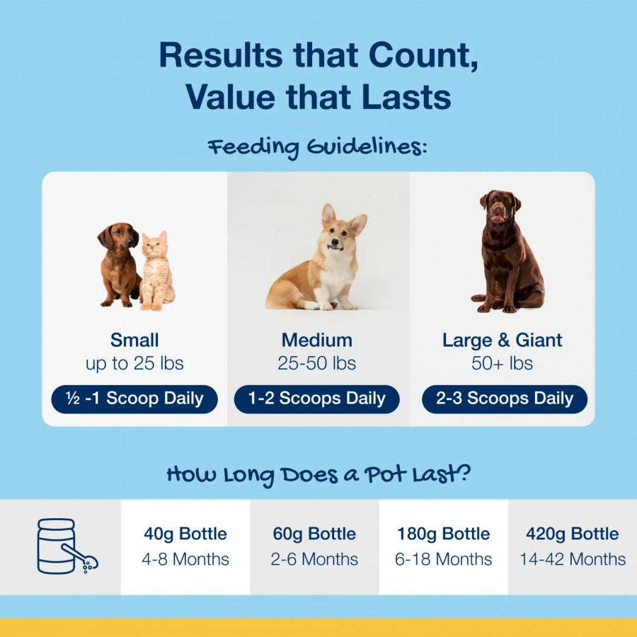 LocalID_71045 ProDen - PlaqueOff Dog Dental Powder - 60GM (2.1oz)