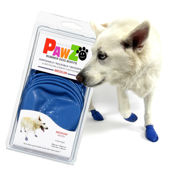 Pawz - Rubber Dog Boots - BLUE - MEDIUM - Up to 7.5CM (3in) - 12PK