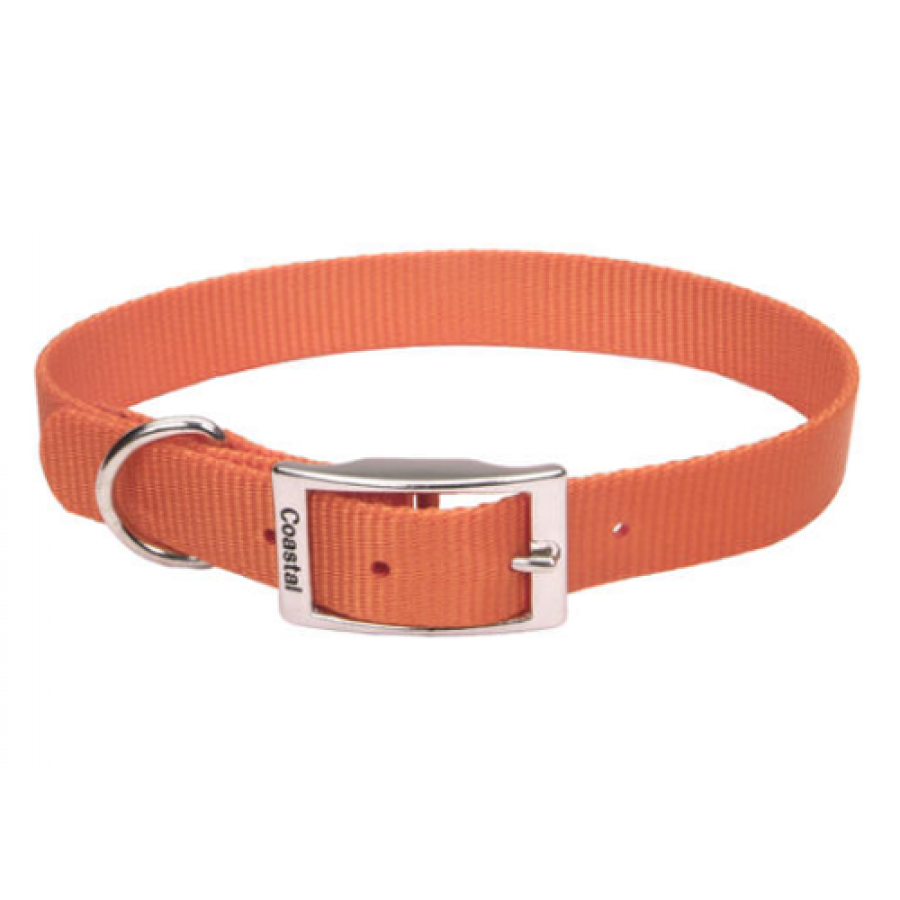 LocalID_43077 Coastal - Standard Buckle Nylon Dog Collar - Sunset Orange - 1.5 x 25.5CM