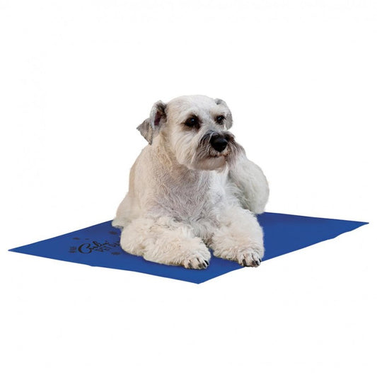 LocalID_34992 K and H - Coolin Pad - BLUE - MEDIUM - 38.1 x 50.8CM (15x20in)